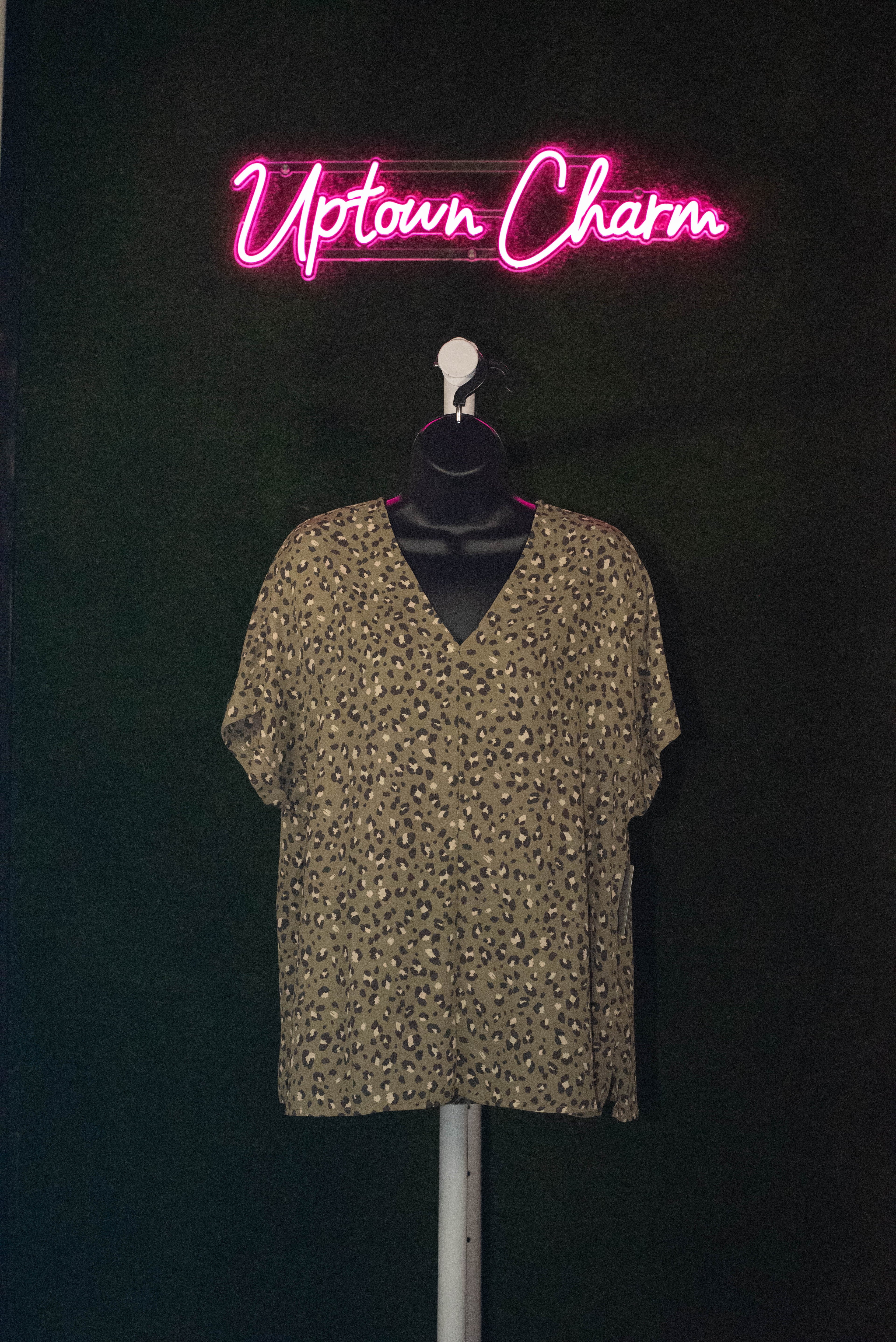 Leopard V-Neck Blouce